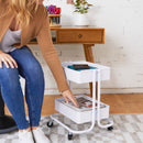 2-Tier Metal Rolling Utility Cart, Mobile Storage Organizer