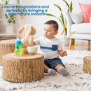 Tree Stump Stool Set, Flexible Classroom Seating, Multiple Seat Heights, 3-Piece